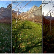 3D dalmonego irene 3 momenti