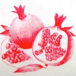 Pomegranates for a poster