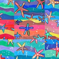 9stelle marine