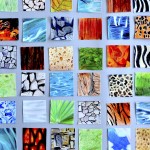 Natural textures with colored pencils
