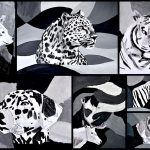 Animals in black & white