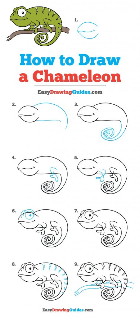 How to Draw a Chameleon  Easy Step-by-Step & Templates - Arty Crafty Kids