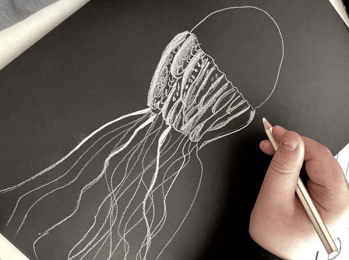 Our Best Jellyfish Drawing Stock Photos, Pictures & Royalty-Free Images -  iStock | Jellyfish illustration