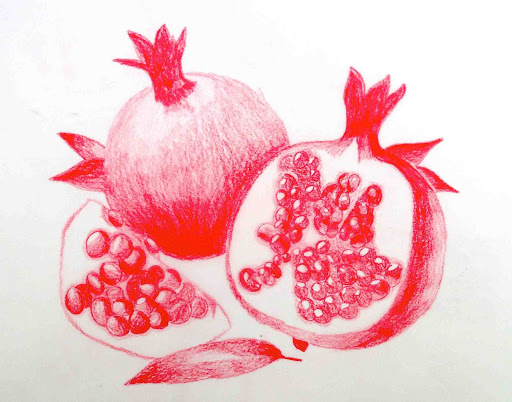 Pomegranate Sketch Vector Graphic by ismaelhossain · Creative Fabrica