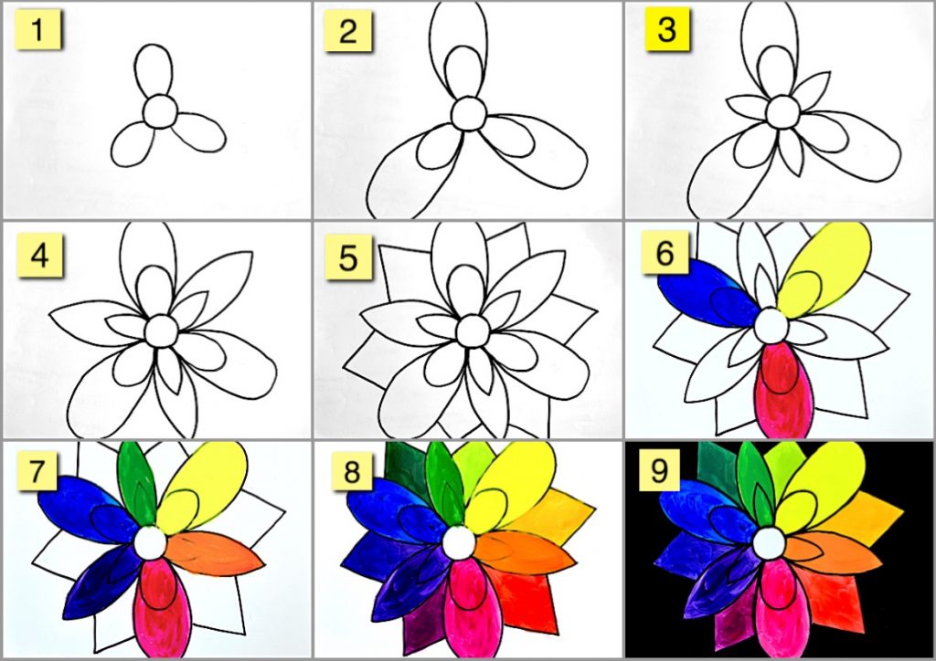 fiore cromatico 9 step