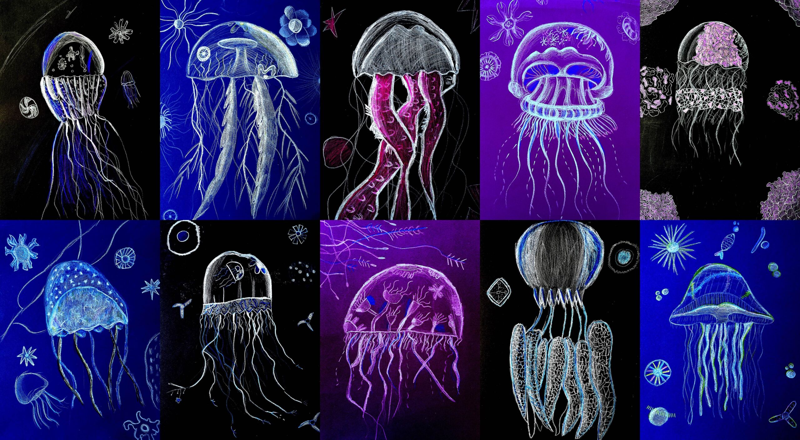 Jellyfish Coloring Pages - ColoringAll